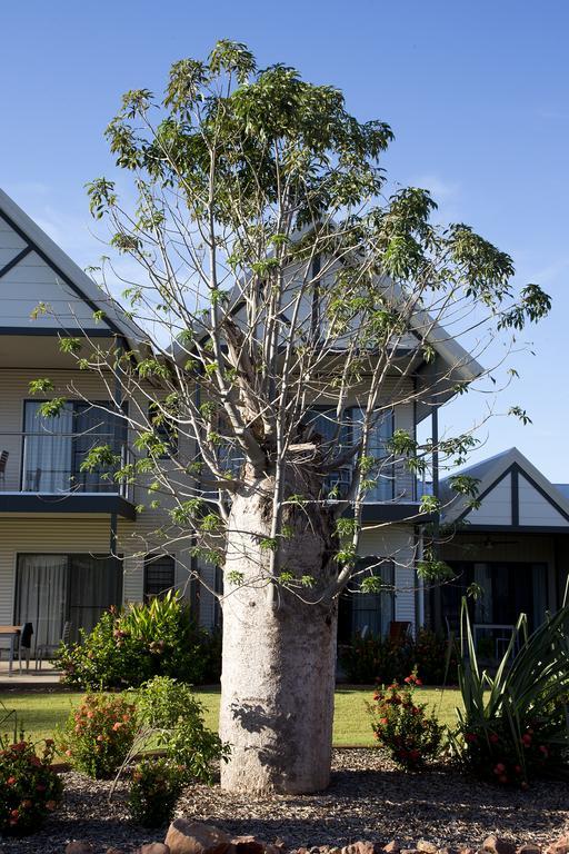 Freshwater East Kimberley Apartments Kununurra Buitenkant foto